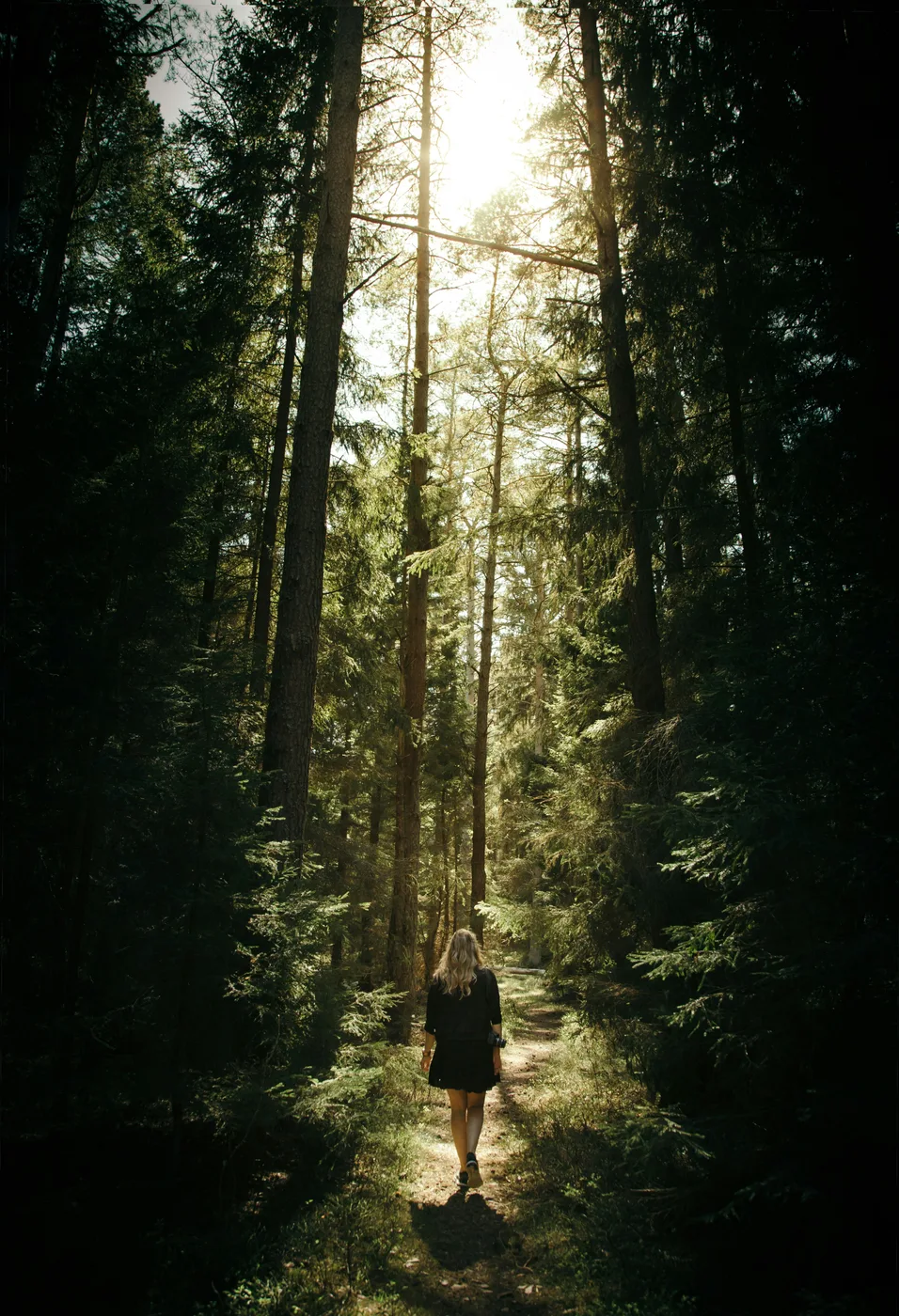 Relaxed outdoor walking as part of everyday movement and an active lifestyle